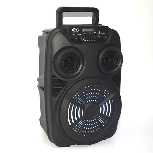 Portativ dinamik ZQS8107s