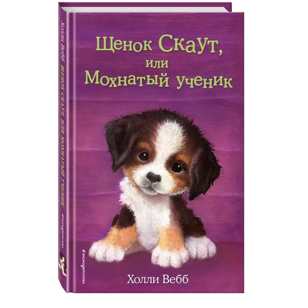 Shenok Skaut, ili Moxnatiy uchenik (vipusk 38)