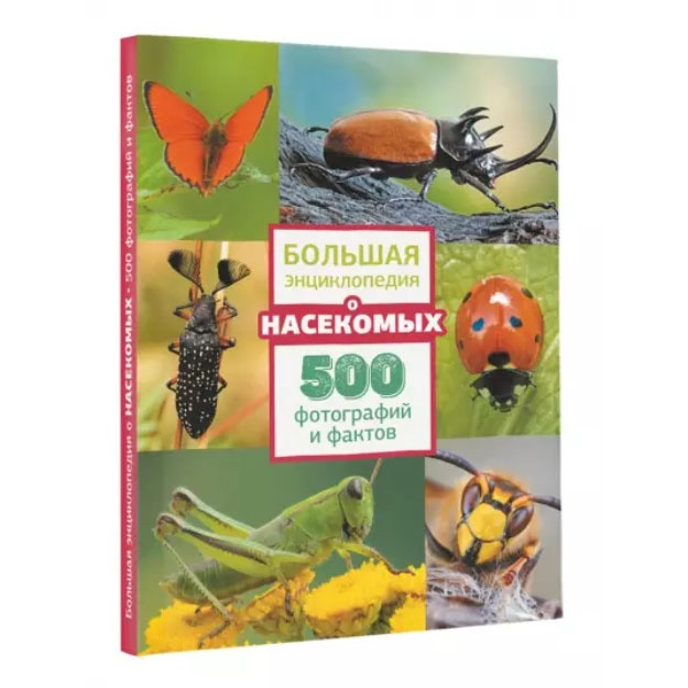 Большая энциклопедия о насекомых. 500 фотографий и фактов