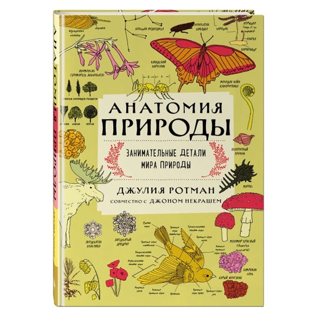 Kniga Anatomiya prirodi. Zanimatelnie detali mira prirodi (Rotman D.)