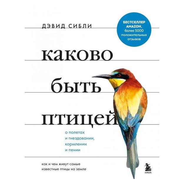 Каково быть птицей: о полетах и гнездовании, кормлении и пении. Как и чем живут самые известные птицы на земле