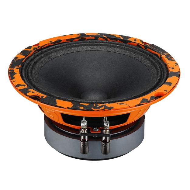 Avtomobil akustikasi DL Audio Gryphon Pro 165