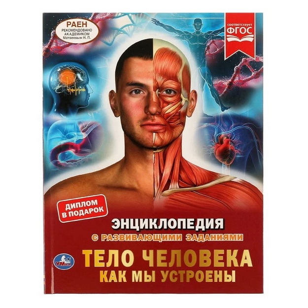 Энциклопедия А4 Тело человека. Как мы устроены