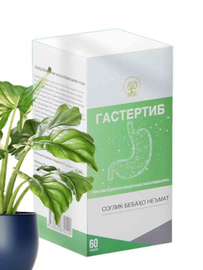 ГАСТЕРТИБ При желудочно-кишечных заболеваниях