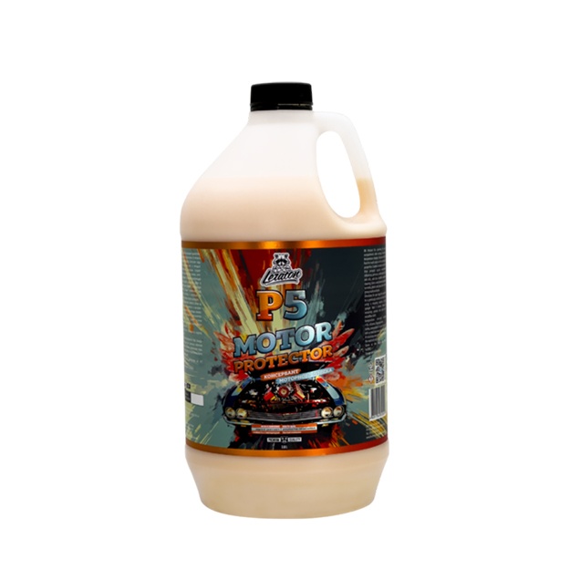 Dvigatel joyini himoya qiluvchi P5 3800 ml