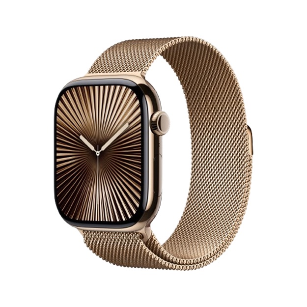 Смарт-часы Apple Watch 10 Series  44 мм Slate Milanese