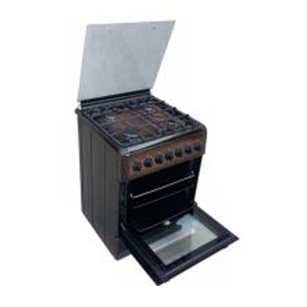 Gaz pechkasi Biryusa N60GG16BR