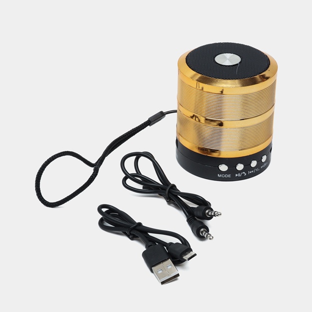 Portativ dinamik Bluetooth Mini Speaker WS-887 Oltin