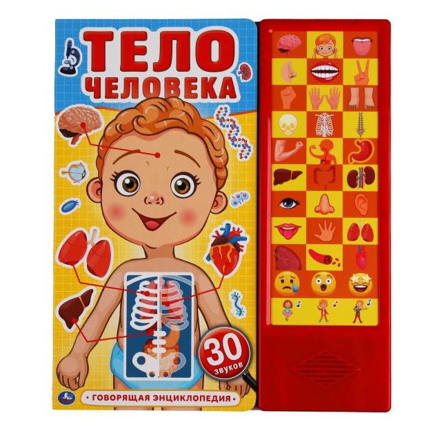 Тело человека (33 звук. кнопки) 254х295мм 16стр Умка в кор.20шт