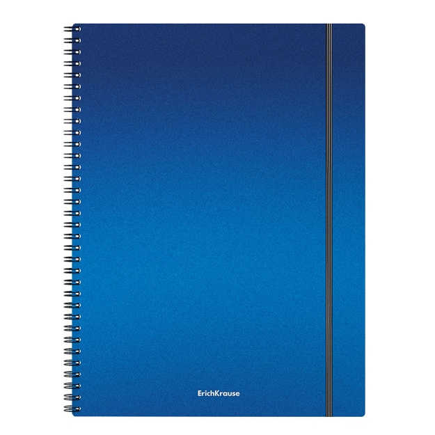 Spiralda plastik qopqoqli umumiy daftar ErichKrause Ice Metallic, assorti, A4, 80 l (50168) Ko‘k