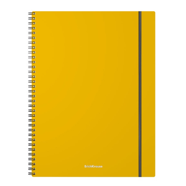Spiralli plastik qopqoqli umumiy daftar ErichKrause Neon, assorti, A4, 80 l (50652) apelsin rang