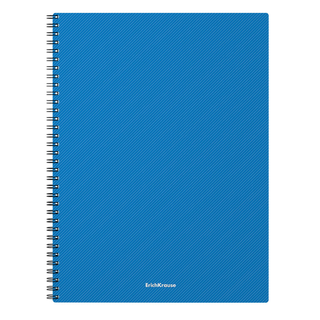 Spiralli plastik qopqoqli umumiy daftar ErichKrause Glance Vivid, assorti, A4, 80 l (53144) Ko‘k