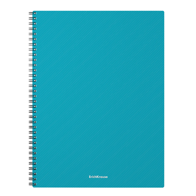 Spiralli plastik qopqoqli umumiy daftar ErichKrause Glance Vivid, assorti, A4, 80 l (53144) yashil