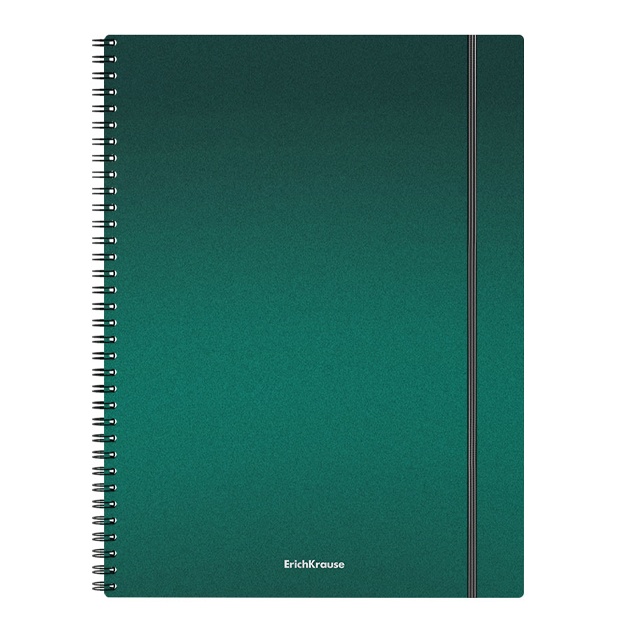 Тетрадь общая с пластиковой обложкой на спирали ErichKrause Ice Metallic, ассорти, А4, 80 л (50168) Зелёный