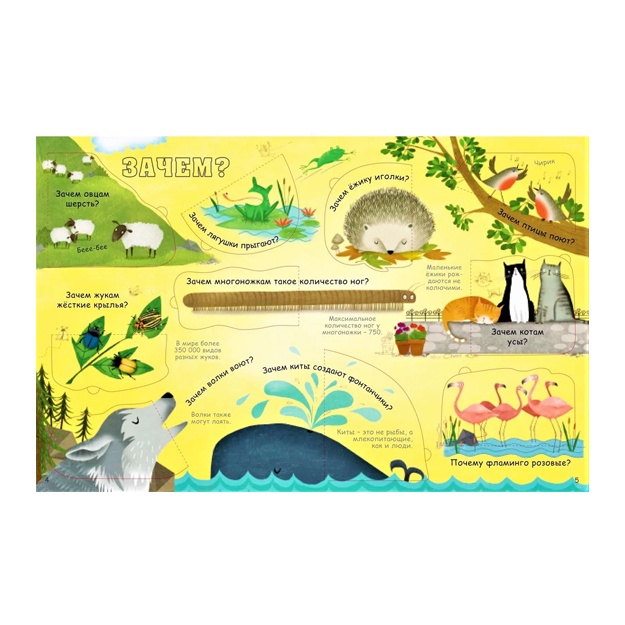 Hayvonlar haqida komikslar