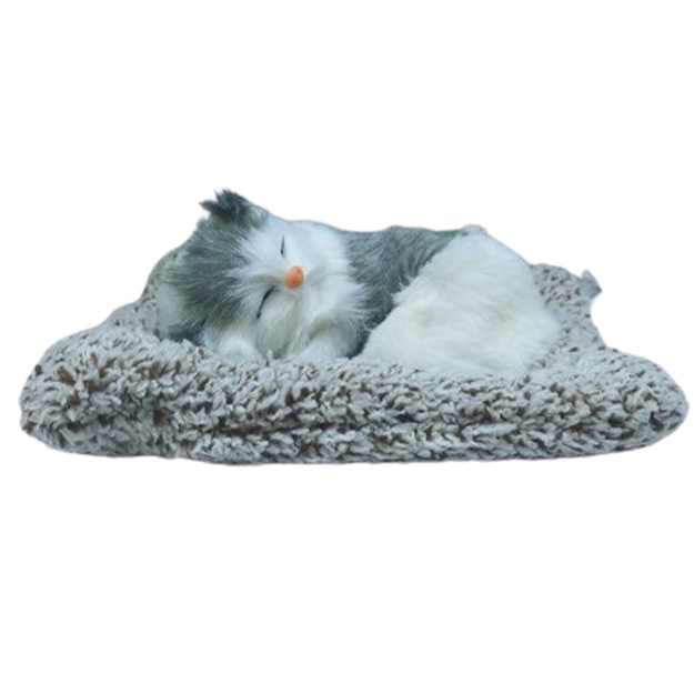 Uxlayotgan mushuk Uxlayotgan mushuk