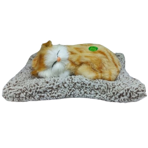 Yetuk ayol bilan qora porno tomosha qiling Mariya Kozhevnikovaning jinsiy aloqada bolishini onlayn tomosha qiling