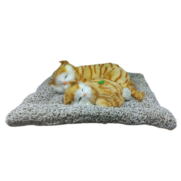 Ivanova yalangoch fotosurat