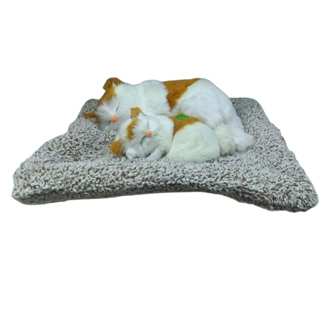 Rus ayoli internetda erini aldayapti. Squirts porno kompilyatsiyasini tomosha qiling