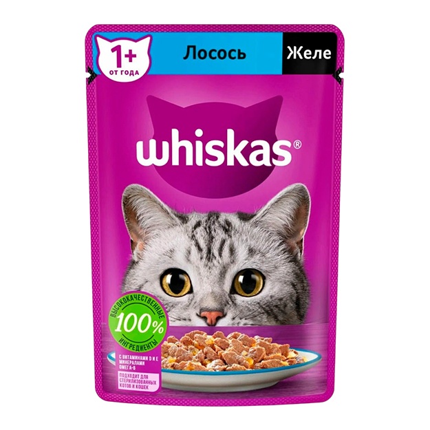 Yosh pushti mushuk fotosurati