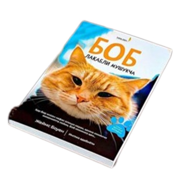 Nima uchun jinsiy olatni boglangan?