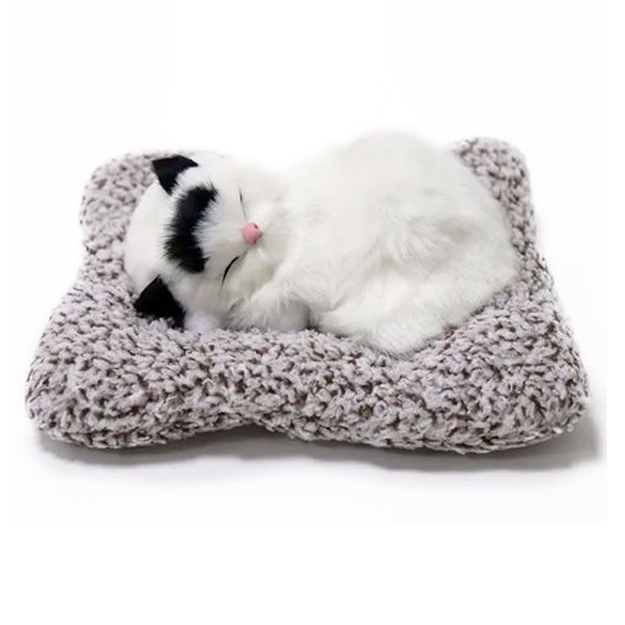 Men opamning pornosini sevib qoldim Kichkina yalangoch