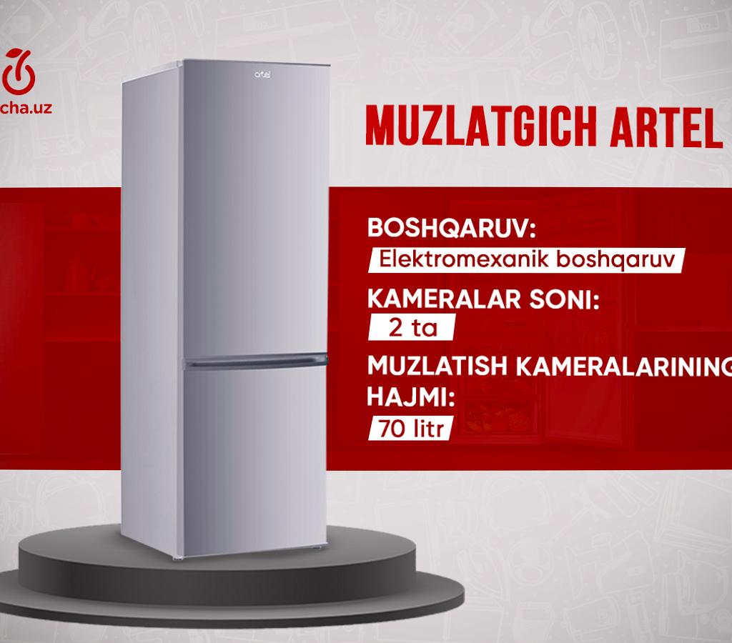 Muzlatgichlar dizayni va yeng muhimi sifati haqida